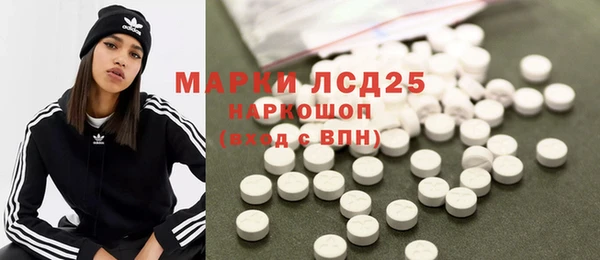 гидра Няндома