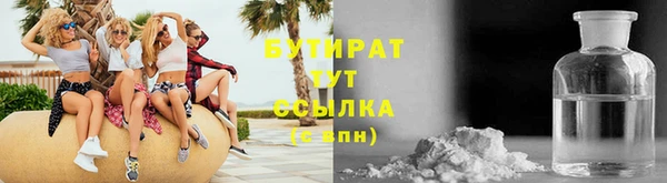 гидра Няндома