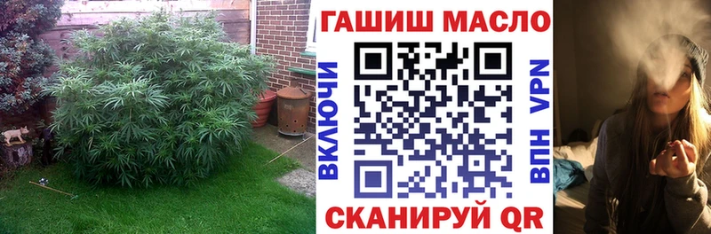 купить закладку  площадка наркотические препараты  Дистиллят ТГК концентрат  Семикаракорск 